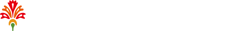 SDS Strategic Design Solutions